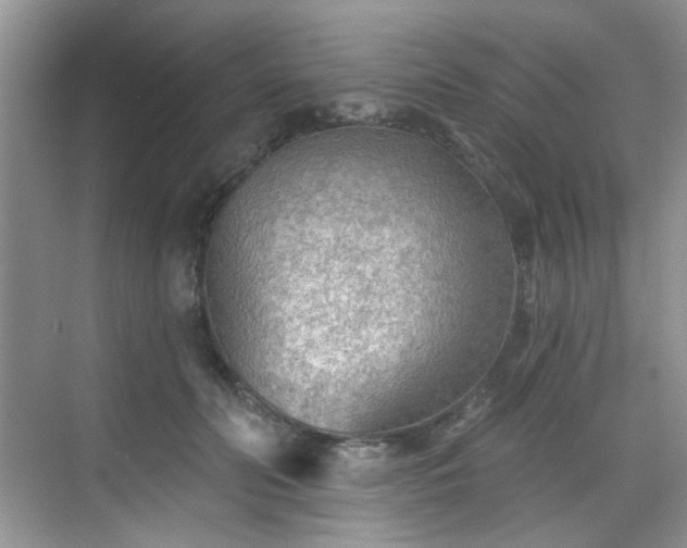 X0000070240606200606091336