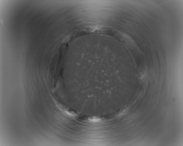 X0000070240607200606091336