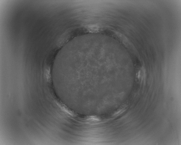 X0000070240610200606091336