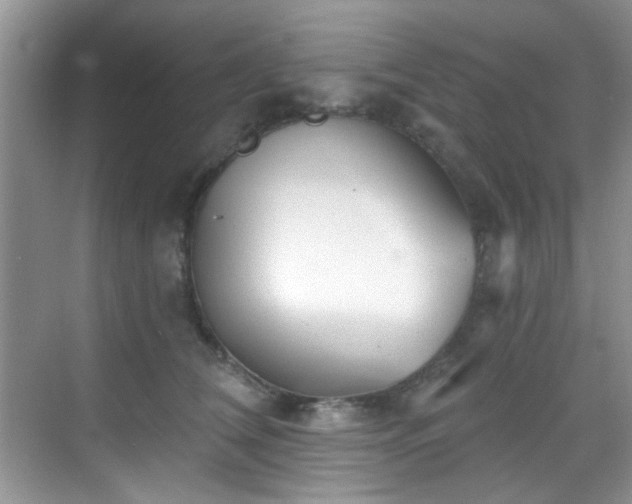 X0000070240612200606091336