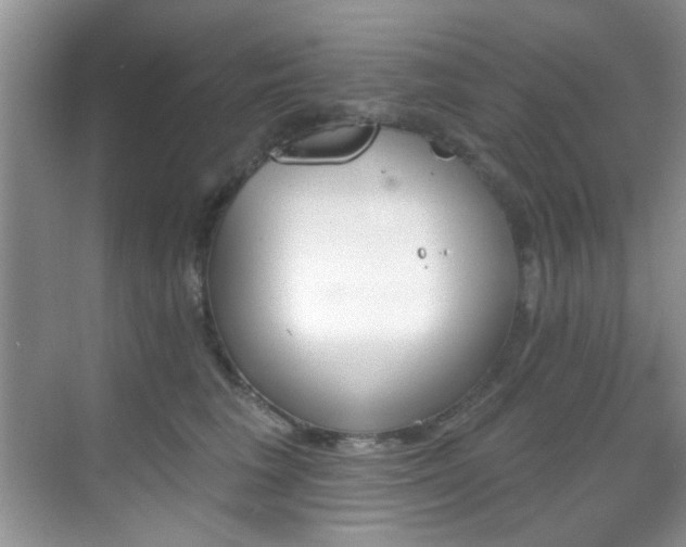 X0000070240613200606091336