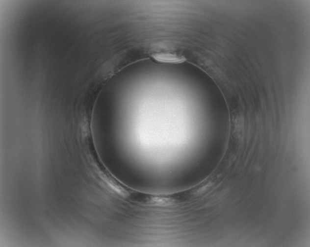 X0000070240617200606091336