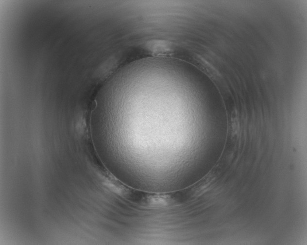 X0000070240618200606091336