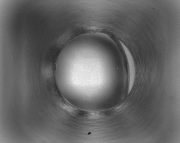 X0000070240623200606091336