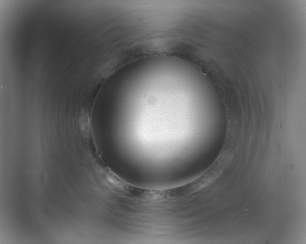 X0000070240624200606091336