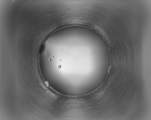 X0000070240625200606091335