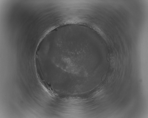 X0000070240626200606091335