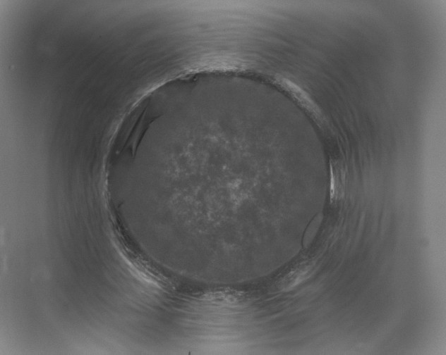 X0000070240627200606091335