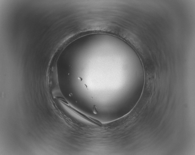 X0000070240628200606091335