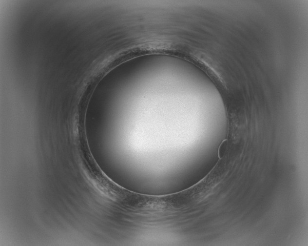 X0000070240631200606091335