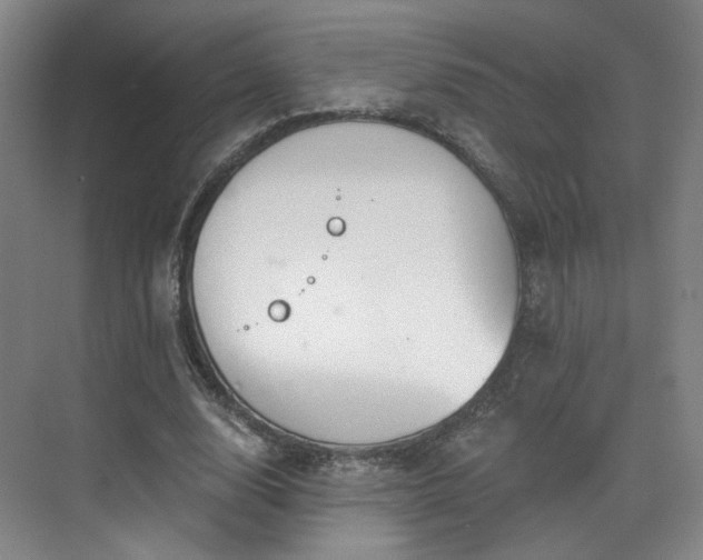 X0000070240632200606091335