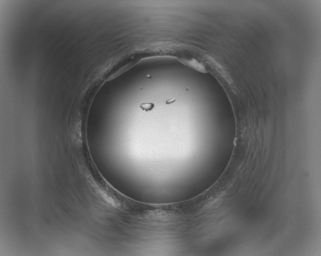 X0000070240633200606091336