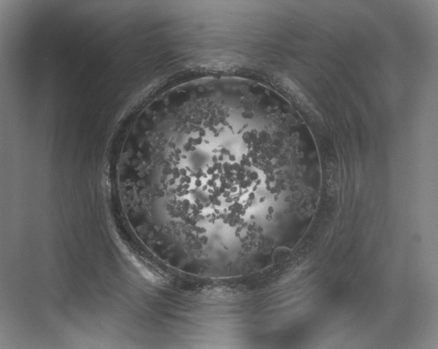 X0000070240634200606091336