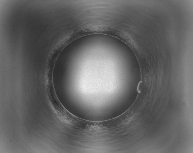 X0000070240635200606091336