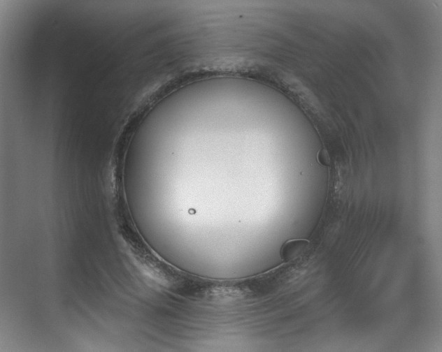 X0000070240636200606091336