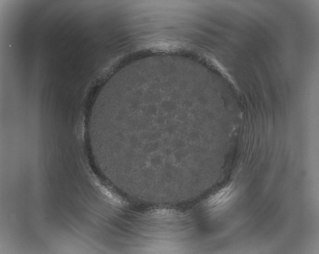 X0000070240637200606091336