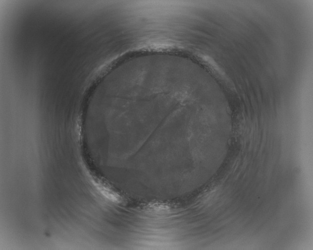 X0000070240640200606091336