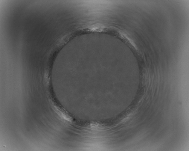 X0000070240641200606091336