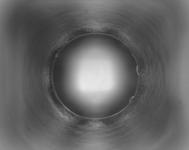 X0000070240642200606091336