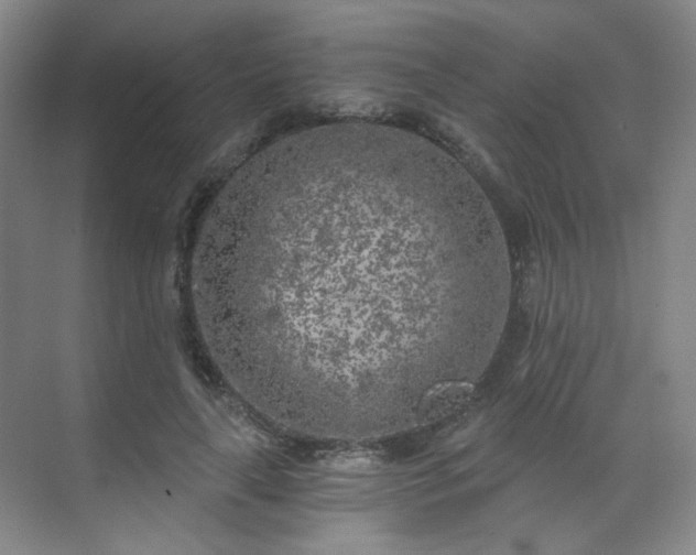 X0000070240643200606091336