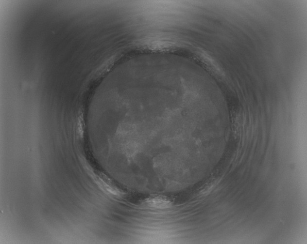 X0000070240644200606091336