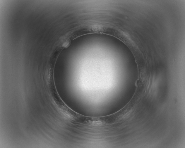 X0000070240645200606091336