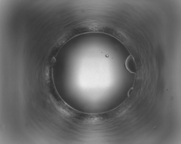 X0000070240646200606091336