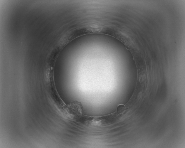 X0000070240647200606091336