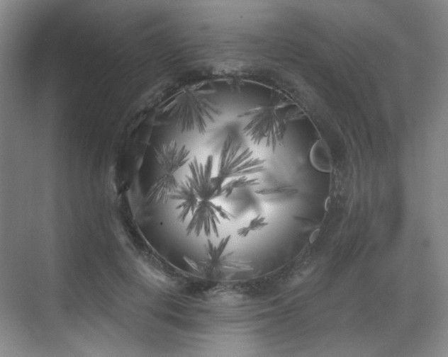 X0000070240648200606091336