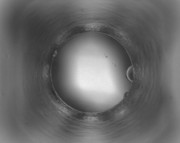 X0000070240649200606091336