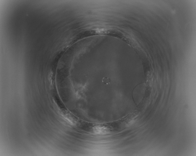 X0000070240650200606091336