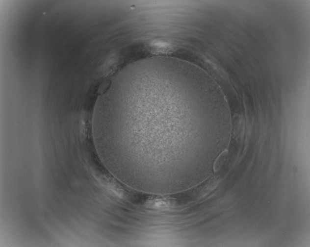 X0000070240655200606091336