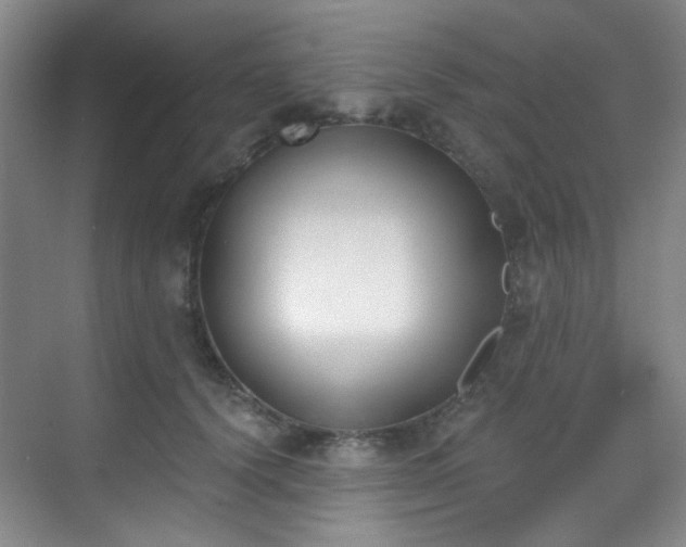 X0000070240656200606091336