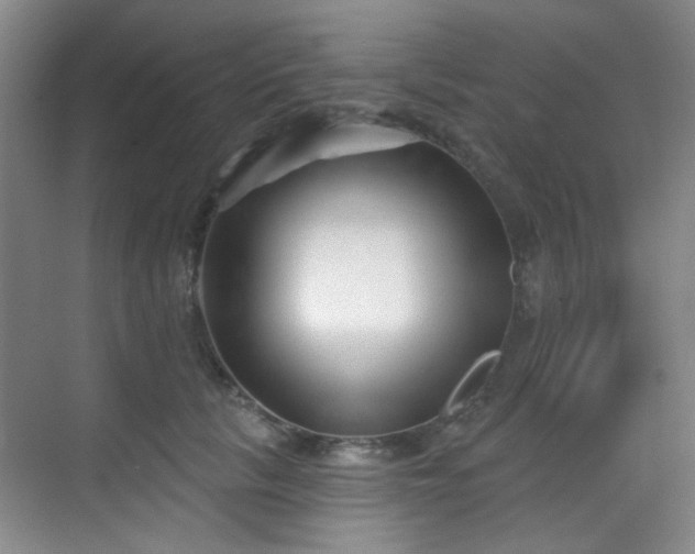 X0000070240657200606091336