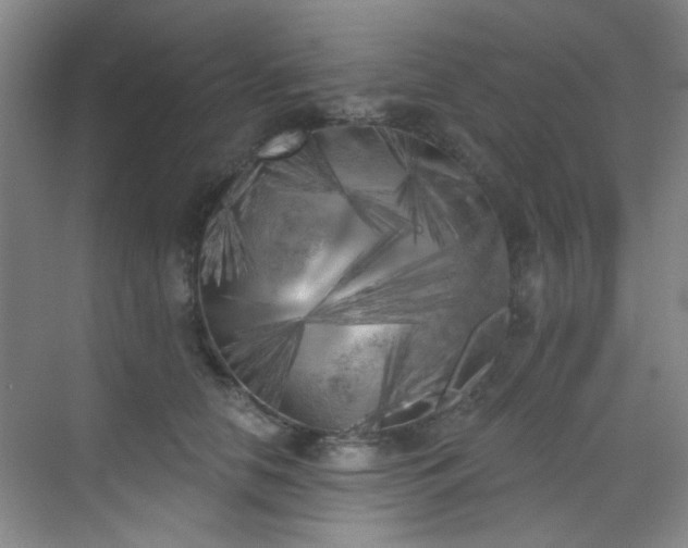 X0000070240658200606091336