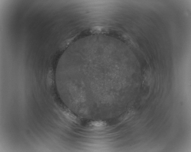 X0000070240659200606091336