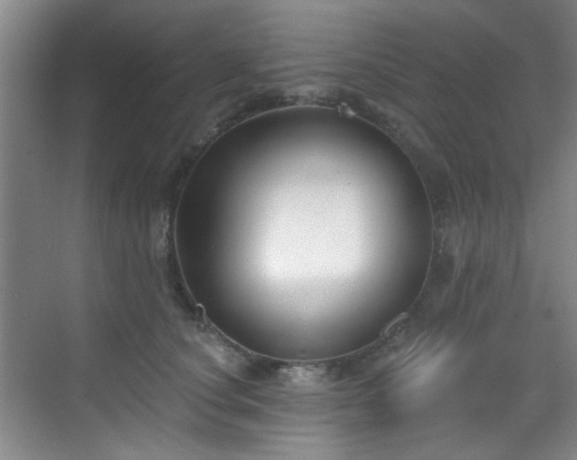 X0000070240660200606091336