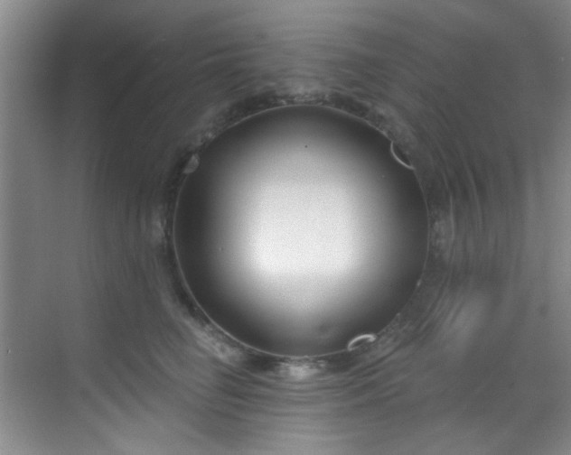 X0000070240662200606091336