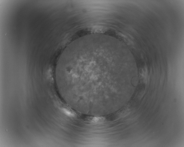 X0000070240663200606091336