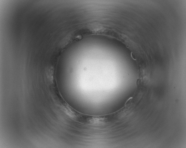 X0000070240664200606091336