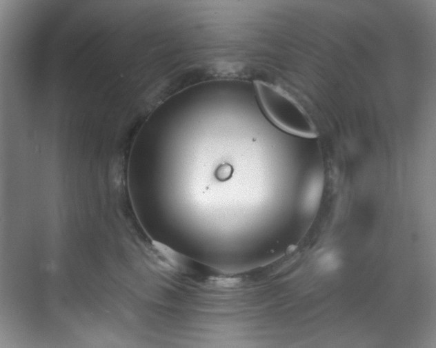 X0000070240665200606091336