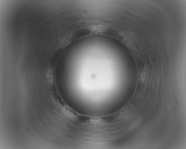 X0000070240666200606091336