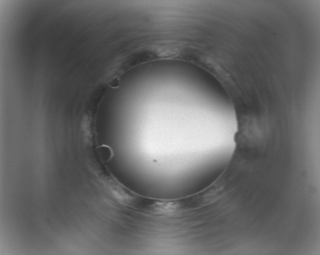 X0000070240667200606091336