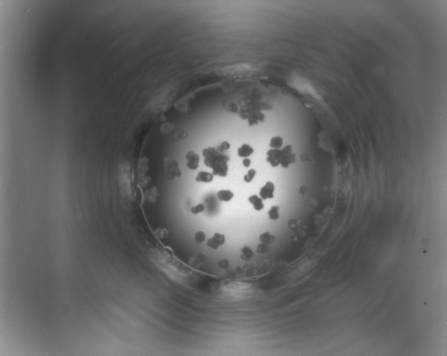 X0000070240669200606091336