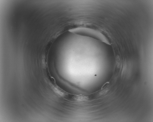 X0000070240670200606091336