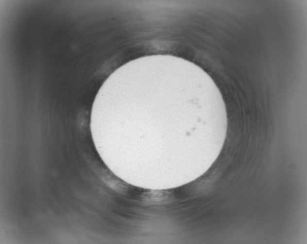 X0000070240672200606091336