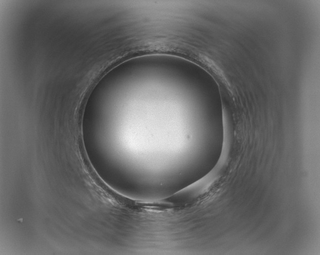 X0000070240673200606091335