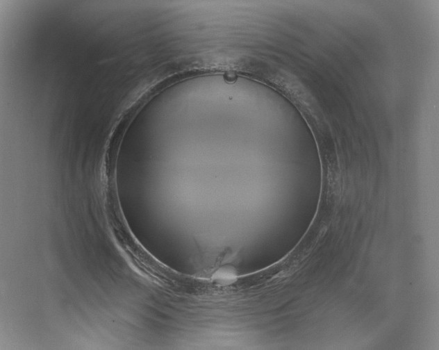 X0000070240674200606091335