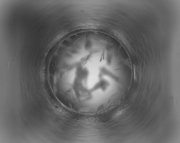 X0000070240675200606091335