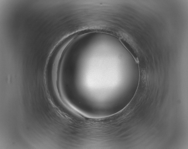 X0000070240676200606091335